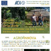 Sistema agroforestal con café, frutales, bio-insumos y apicultura, Comunidad Azabache, Danlí, El Paraíso