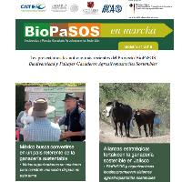 BioPaSOS en marcha Boletín no. 1