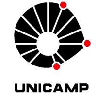 Universidad Estadual de Campinas UNICAMP