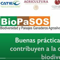 ¿Cómo establecer cercos eléctricos en un rancho ganadero?