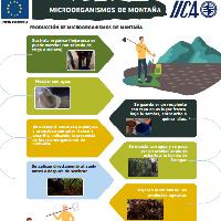 Microorganismos de montaña