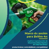Marco de acción para Belém 4x: duplicar la producción de biocombustibles líquidos sin más hectáreas: productividad, sostenibilidad y asequibilidad