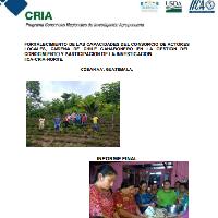 Fortalecimiento de las capacidades del consorcio de actores locales, cadena de chile cahabonero en la gestión del conocimiento y participación de la investigación