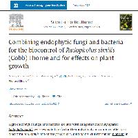 Combining endophytic fungi and bacteria for the biocontrol of Radopholus similis (Cobb) Thorne and for effects on plant growth