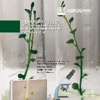 Edición de genes en plantas: definiciones y aplicaciones en el cultivo de la papa en AGROSAVIA y el INTA