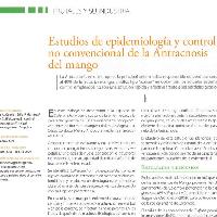 Estudios de epidemiología y control no convencional de la antracnosis del mango