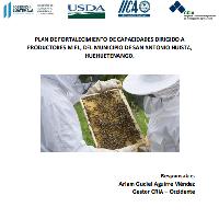 Plan de fortalecimiento de capacidades dirigido a productores de miel, del municipio de San Antonio Huista, Huehuetenango