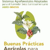 Buenas prácticas agrícolas para cultivo de café