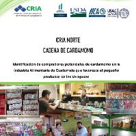 Identificación de compradores potenciales de cardamomo en la industria alimentaria de Guatemala que favorezca al pequeño productor de las Verapaces