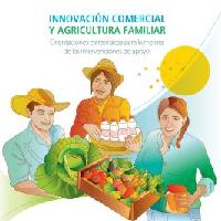 Innovación comercial y agricultura familiar: orientaciones estratégicas para la mejora de las intervenciones de apoyo
