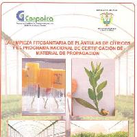 La limpieza fitosanitaria de plántulas de cítricos y el programa nacional de certificación de material de propagación-