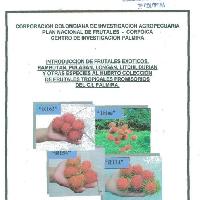 Introducción de frutales exóticos, Rambutan, Pulasan, Longan, Litchi, Durian y otras especies al huerto colección de frutales tropicales promisorio del C.I. Palmira-
