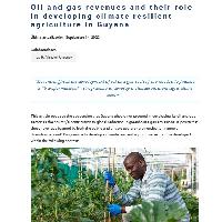Oil and gas revenues and their role in developing climate resilient agriculture in Guyana