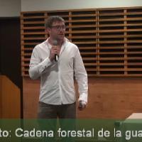 Experiencia innovadora MFS: Cadena forestal de la guayusa (Ecuador)