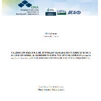 Validación práctica del tutorado ramada de cuatro surcos y su efecto sobre el rendimiento del cultivo de loroco (Fernaldia pandurata Woodson), en los departamentos de Zacapa y Chiquimula