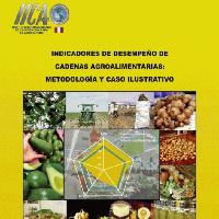 Indicadores de Desempeño de Cadenas Agroalimentarias: Metodología y Caso Ilustrativo