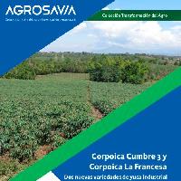 Corpoica Cumbre y Corpoica La Francesa: Dos nuevas variedades de yuca industrial para el suroccidente colombiano.-