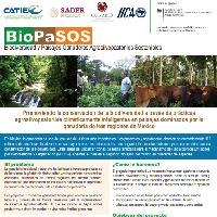 Promoviendo la conservación de la biodiversidad a través de prácticas agrosilvopastoriles climáticamente inteligentes en paisajes dominados por la ganadería de tres regiones de México
