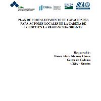 Plan de fortalecimiento de capacidades de actores locales de la cadena de loroco en la región CRIA Oriente