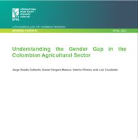 Understanding the gender gap in the Colombian agricultural sector