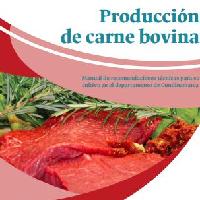 Producción de carne bovina: Manual práctico para pequeñas y medianas explotaciones del trópico alto colombiano