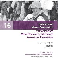 Bases de un marco conceptual y orientaciones metodológicas a partir de una experiencia institucional