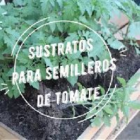 Pilones elaborados con sustratos locales