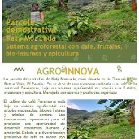 Sistema agroforestal con café, frutales, bio-insumos y apicultura, Comunidad de Buena Vista, El Paraíso.