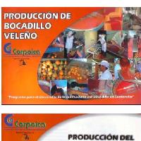 Producción de bocadillo veleño: programa para el desarrollo de la minicadena del bocadillo en Santander.-