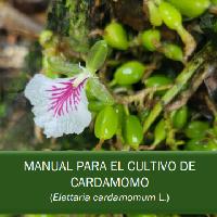Manual para el cultivo de cardamomo (Elettaria cardamomum L.)