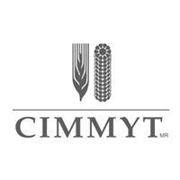 Knowledge Management and Information Technology of CIMMYT