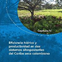 Eficiencia hídrica y productividad en dos sistemas silvopastoriles del Caribe seco colombiano