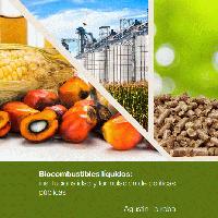 Biocombustibles líquidos Institucionalidad y formulación de políticas públicas