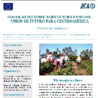 Síntesis: Dialogando sobre agricultura familiar: visión de futuro para Centroamérica – género y juventud