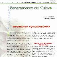 Generalidades del cultivo -