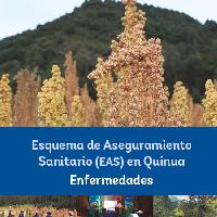 Esquema de Aseguramiento Sanitario (EAS) en quinua enfermedades : municipio de Silvia, Cauca