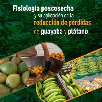 Fisiología poscosecha y su aplicación en la reducción de pérdidas de guayaba y plátano