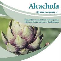 Alcachofa (Cynara scolymus L.) : manual de recomendaciones técnicas para su cultivo en el departamento de Cundinamarca