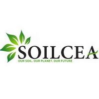 Soilcea