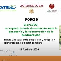 Foro 9: Sinergias entre adaptación y mitigación: oportunidades del sector ganadero