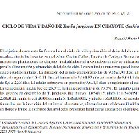 Ciclo de vida y daño de Taedia jurgiosus en chayote (Sechium edule) Costa Rica