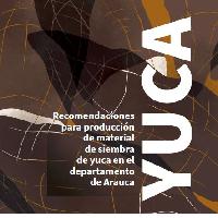Recomendaciones para producción de material de siembra de yuca en el departamento de Arauca