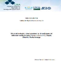 Efecto del asoleado y almacenamiento en el rendimiento del tubérculo-semilla de papa (Solanum tuberosum L), Paquix, Chiantla, Huehuetenango