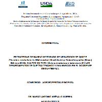 Informe final Estrategias manejo integrado de nematodos de quiste Globodera rostochiensis (Wollenweber) Skarbilovich (nematodo dorado) y Globodera pallida (Stone) Behrens (nematodo del quiste blanco) en el cultivo de papa (Solanum tuberosum) en los departamentos de Quetzaltenango y San Marcos en el occidente de Guatemala
