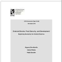 External shocks, food security, and development: Exploring scenarios for Central America