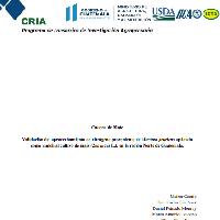 Validación del aprovechamiento de nitrógeno proveniente de Mucuna pruriens aplicado como mulch al cultivo de maíz (Zea mays L.) en la región Norte de Guatemala