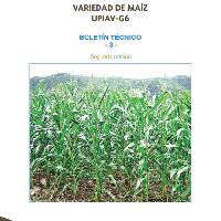 Variedad de maíz UPIAV-G6, Edición 2
