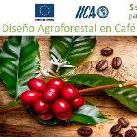 Diseño Agroforestal en Café