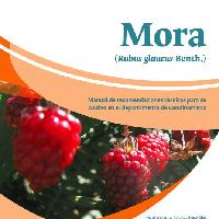 Mora (Rubus glaucus Benth.) : manual de recomendaciones técnicas para su cultivo en el departamento de Cundinamarca