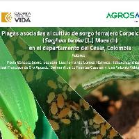 Plagas asociadas al cultivo de sorgo forrajero Corpoica JJT-18 (Sorghum bicolor [L] Moench) en el departamento del Cesar, Colombia